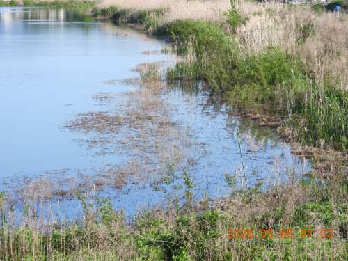 DSCN3746.JPG