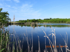 DSCN3726.JPG
