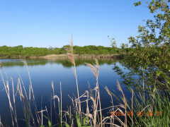 DSCN3727.JPG