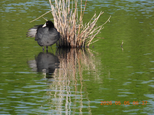 DSCN3728.JPG