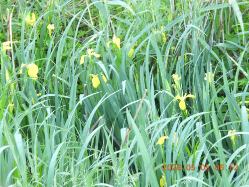 DSCN3734.JPG