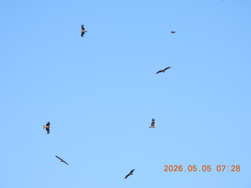 DSCN3756.JPG