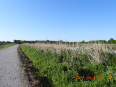 DSCN3805.JPG