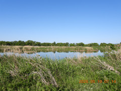 DSCN3806.JPG