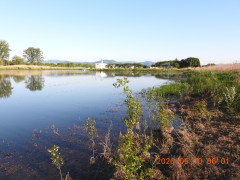 DSCN3765.JPG