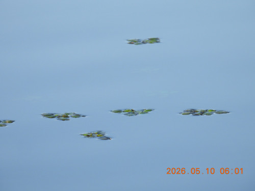DSCN3766.JPG