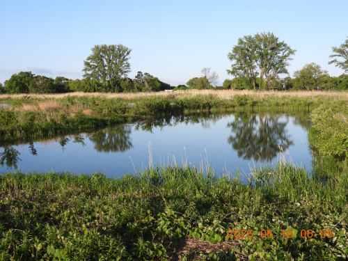 DSCN3768.JPG