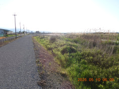 DSCN3772.JPG