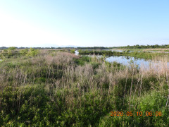 DSCN3773.JPG
