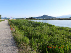 DSCN3779.JPG