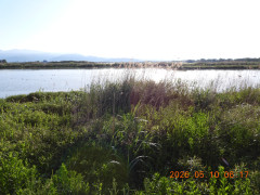 DSCN3780.JPG
