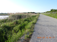 DSCN3781.JPG