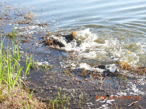 DSCN3786.JPG