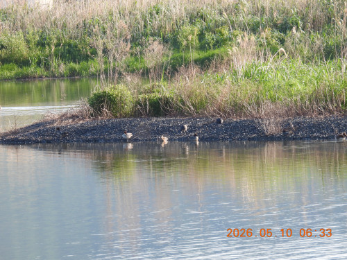 DSCN3787.JPG