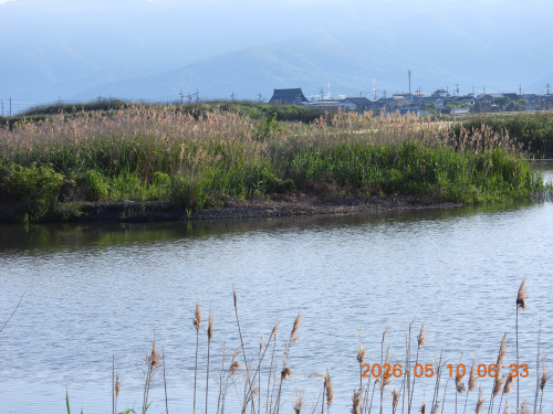 DSCN3788.JPG
