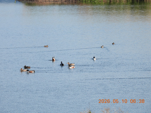 DSCN3790.JPG