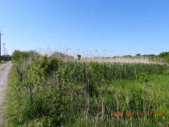 DSCN3813.JPG