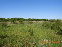 DSCN3814.JPG