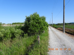 DSCN3815.JPG