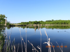 DSCN3795.JPG