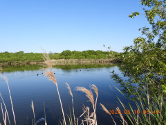 DSCN3796.JPG