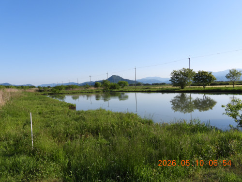 DSCN3798.JPG