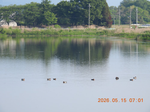 DSCN3887.JPG