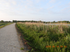DSCN3831.JPG