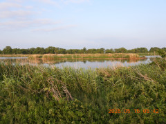 DSCN3832.JPG