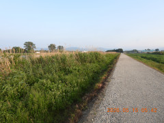 DSCN3833.JPG