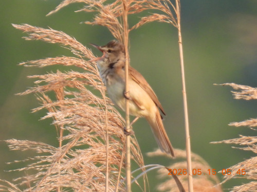 DSCN3840.JPG