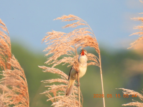 DSCN3837.JPG
