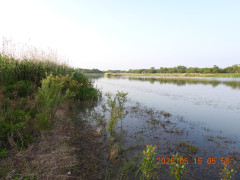DSCN3845.JPG