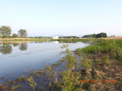 DSCN3847.JPG
