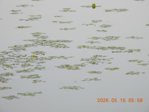 DSCN3848.JPG