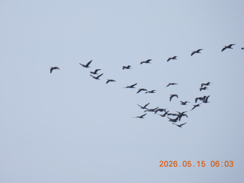 DSCN3851.JPG