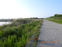 DSCN3858.JPG