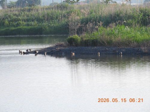 DSCN3859.JPG