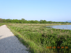 DSCN3860.JPG