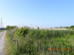 DSCN3876.JPG