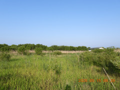 DSCN3877.JPG