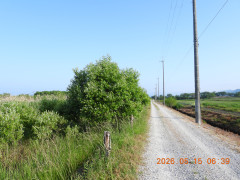 DSCN3878.JPG