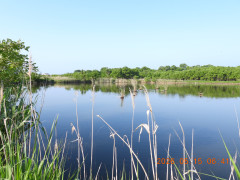 DSCN3880.JPG