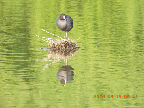DSCN3883.JPG