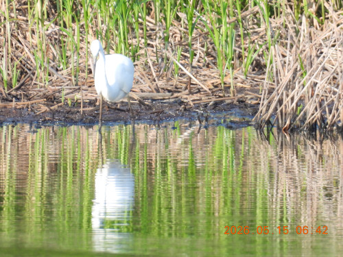 DSCN3884.JPG