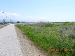 DSCN3895.JPG