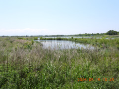 DSCN3896.JPG