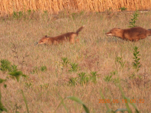 DSCN3824.JPG