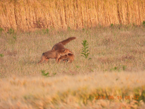 DSCN3825.JPG