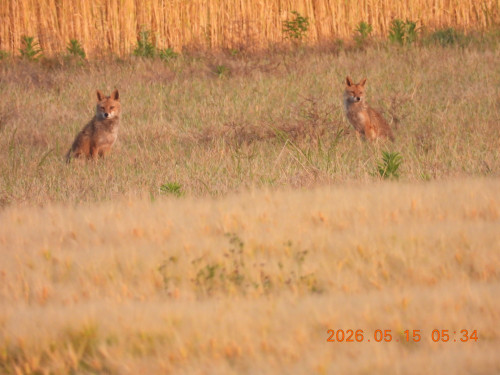 DSCN3829.JPG